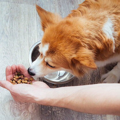 image-overlay-slide-2