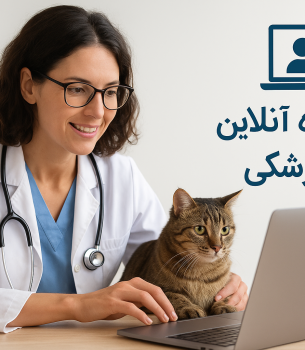 مشاوره آنلاین دامپزشکی