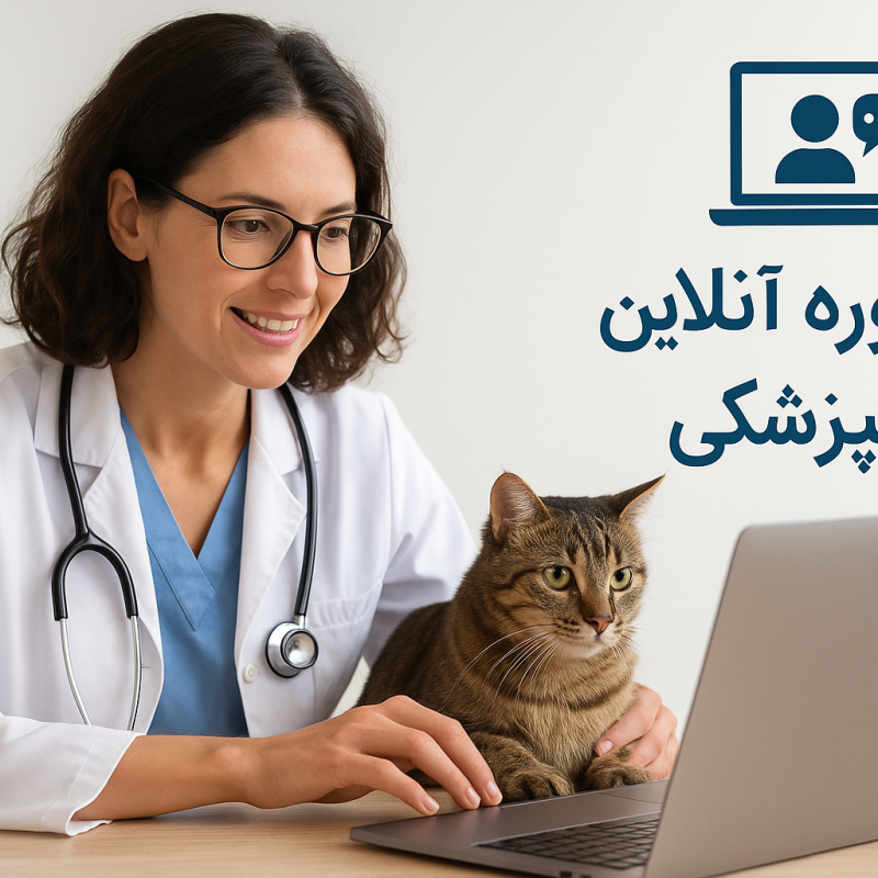 مشاوره آنلاین دامپزشکی